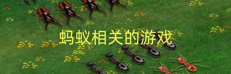 蚂蚁相关的游戏