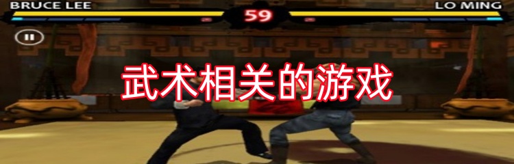 武术相关的游戏