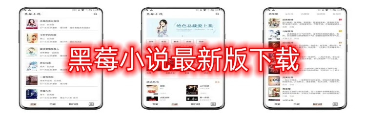 黑莓小说最新版下载