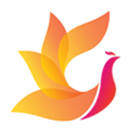 影视工场tv最新版