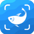 picture fish app中文手机版  v2.4.20