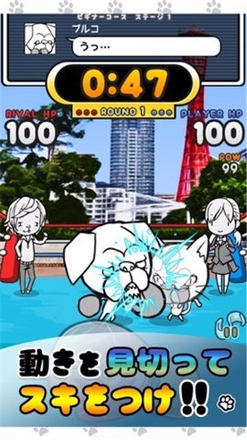 猫咪面包动物之王手机版