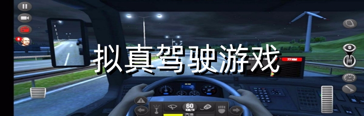 拟真驾驶游戏