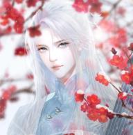 绝色男妃在争宠橙光破解