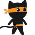 功夫忍者猫