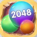 2048球冠军