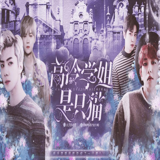 高冷学姐是只猫橙光破解版