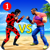 城市街头格斗空手道大师