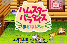 仓鼠天堂a汉化版