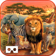 野生动物园之旅