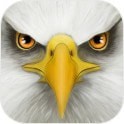老鹰模拟器2中文版