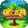 碳汇森林