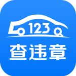 123查违章