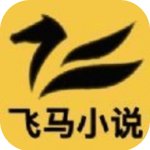 飞马小说