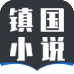 镇国小说