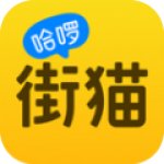 哈啰街猫