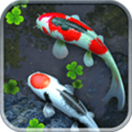 3d鱼池动态壁纸