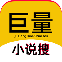巨量小说搜纯净版