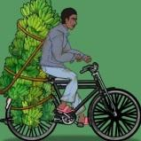 奥德彪逆袭记免广告