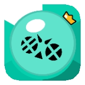 荒野乱斗花菜版