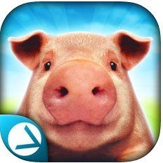 自己是一只猪模拟器