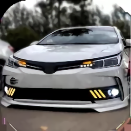 花冠驾驶和比赛