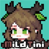 迈尔德提尼中文版