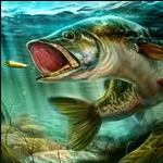 终极钓鱼模拟器无限金币