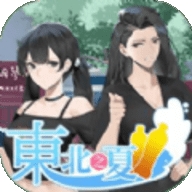 东北之夏完整版