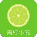 青柠小说纯净版