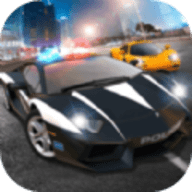 我的驾驶生涯无广告版