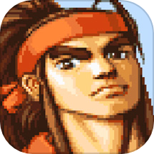 三国战纪单机版无限币