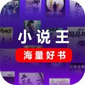 小说王
