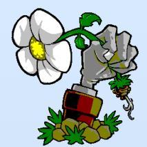 植物大战僵尸魔幻版内置菜单