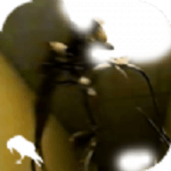 暗房后室游戏联机版中文