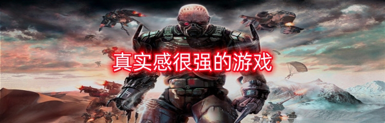 真实感很强的游戏