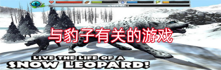 与豹子有关的游戏