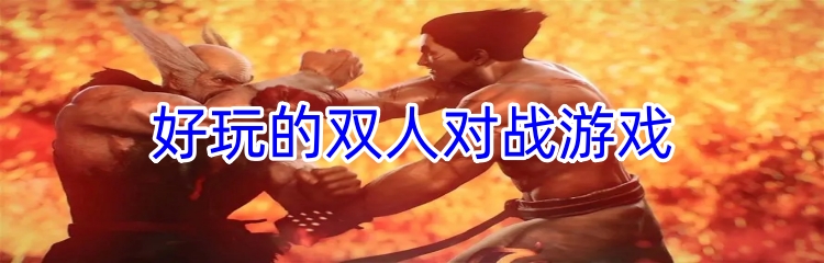 好玩的双人对战游戏