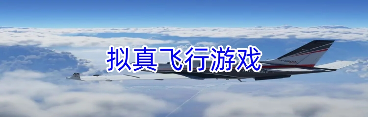 拟真飞行游戏