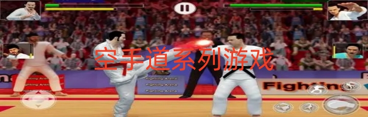 空手道系列游戏