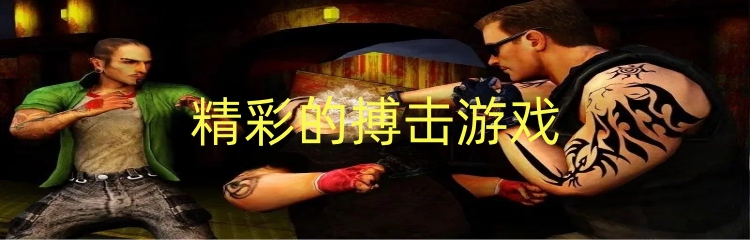 精彩的搏击游戏