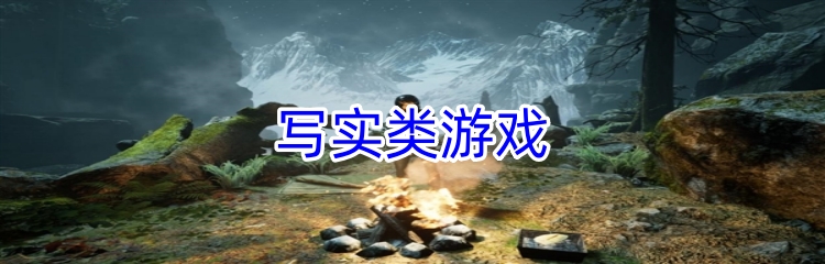 写实类游戏