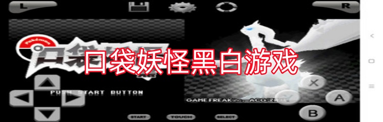 口袋妖怪黑白游戏