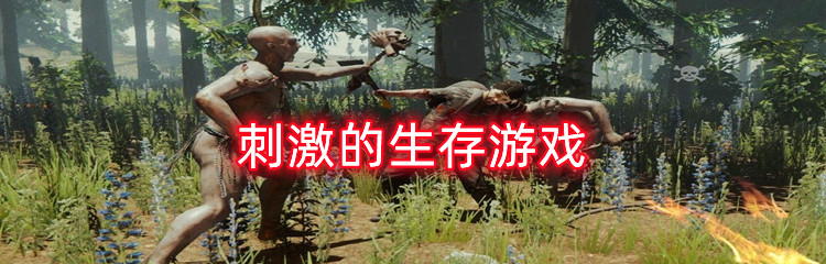 刺激的生存游戏