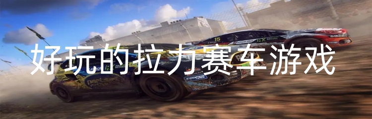 好玩的拉力赛车游戏