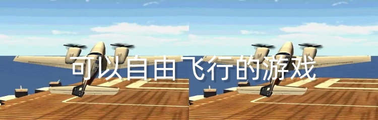 可以自由飞行的游戏