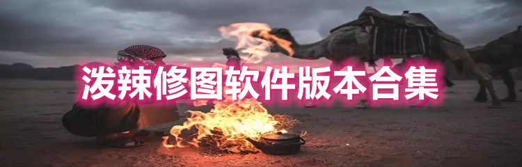 泼辣修图软件版本合集