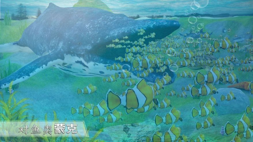 全民养鲸鱼下载红包