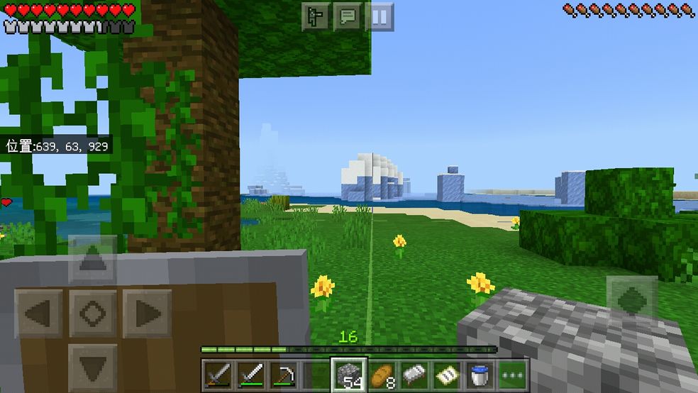 我的世界1.16联机76