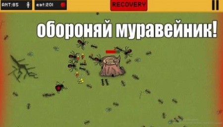 蚂蚁领地汉化版